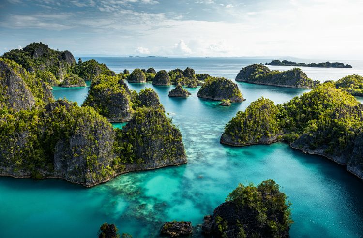 Raja Ampat in 6 Days: Dive, Drift, Discover